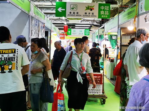 端午盛會綻放蓉城，西部地區最大節慶展會今日開幕，萬種商品引領消費熱潮